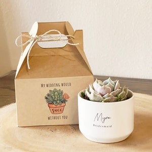 My Wedding Would Succ Without You Gift Box | Succulent & Card Included | Bridesmaid Proposal Box, Maid of Honor Gift, Live Succulent Gift