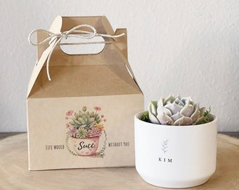 Life Would Succ Without You | SUCCULENT & CARD INCLUDED | Birthday, Anniversary, Coworker, Teachers, Best Friend Gift, Personalized Pot