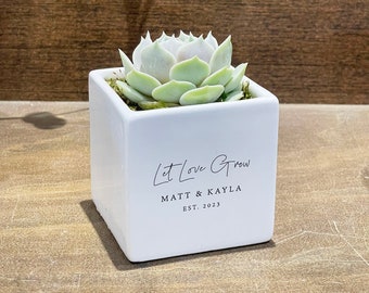Personalized Succulent Gift, Engagement Gift, Wedding gift, Hostess Gift or Housewarming, Gift newborn - Modern Succulent pot