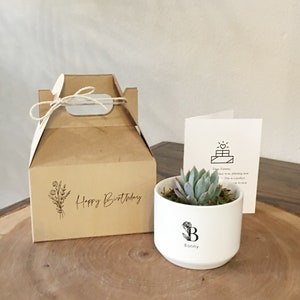 Personalized Birthday Gift Box | Succulent & Card Included | Birthday Gift, Personalized Gift, Friend&#39;s Birthday, Flower Pot, Succulent Pot