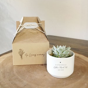 Personalized Condolences Gift Succulent & Card Included Loss of Loved Ones, In Loving Memory, Gift for Grieving, Sorry For Your Loss image 1