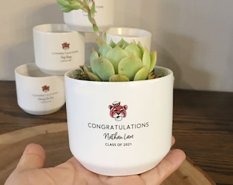 Personalized Graduation Gift | PhD Graduation Gift, High School/College Graduation Gift for Best Friend, Live Succulent Gift, Indoor Planter