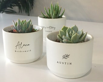 Personalized Mini Succulent Gift | LIVE SUCCULENT INCLUDED | Birthday, Anniversary, Coworker, Teachers, Best Friend Gift, Custom Plant Pot