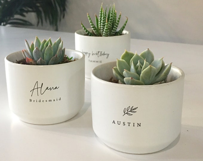 Featured listing image: Personalized Mini Succulent Gift | LIVE SUCCULENT INCLUDED | Birthday, Anniversary, Coworker, Teachers, Best Friend Gift, Custom Plant Pot