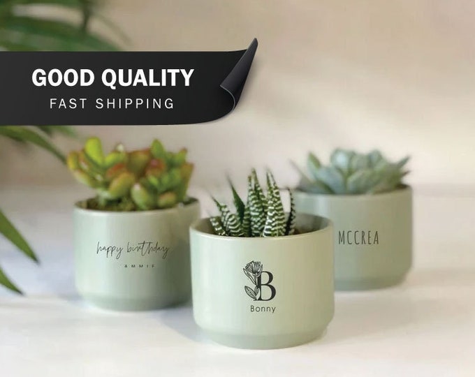 Featured listing image: Personalized Mini Succulent Gift | Sage Green | LIVE SUCCULENTS INCLUDED | Gift for her