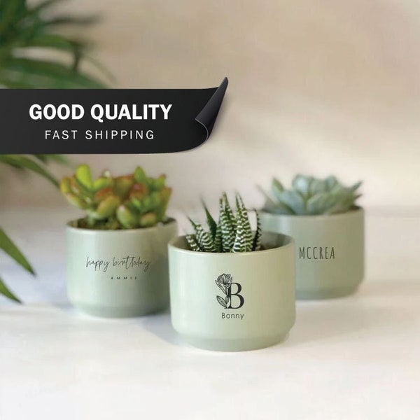 Personalized Mini Succulent Gift | Sage Green | LIVE SUCCULENTS INCLUDED | Gift for her