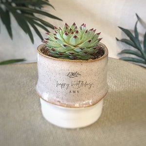May include: A white ceramic planter with a green succulent plant. The planter has a gold rim and the text "happy birthday AMY" written on it.