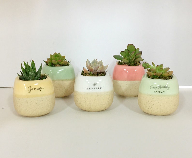 Anniversary SUCCULENT INCLUDED Teachers Personalized Mini Succulent Planter Family Gift Birthday Coworker Friends Congratulations