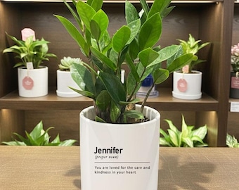 Personalized Planter | Green ZZ Plant, Custom Design