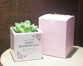 Mothers Day Gift, Gift Box for Women, Gifts for Mothers, Gift for Grandma, Succulent Gift Box for Mom (Succulent Included)