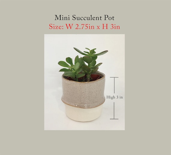 Personalized Succulent Planter Gift | Gift for Him & Her, Custom Succulent  Pot, Bestfriend Gift, Wedding Registry | Two-tone - Etsy