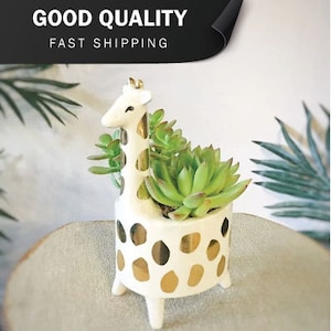 May include: White ceramic planter shaped like a giraffe with gold spots. The planter is holding a small succulent plant.