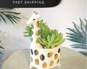 Gift for Him | Mini Giraffe Pot (Personalized Card Included) | Gift Newborn | Cute, Trendy Gift | Animal Lover's Gift