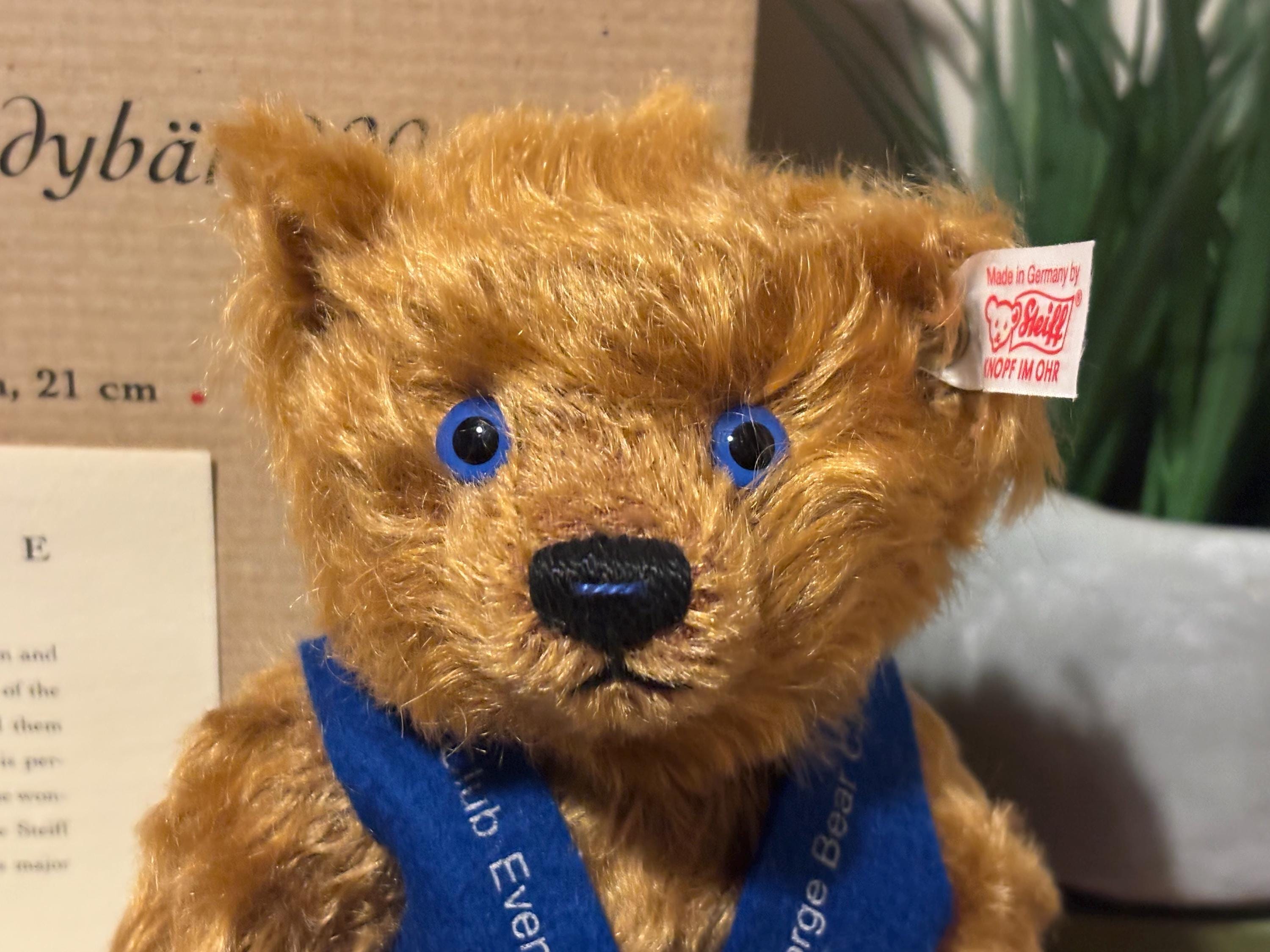 Vintage Steiff Club Event Teddybär 2004 Teddy Bear, Rotbraun 21cm
