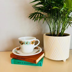 Puede incluir: Una taza de té y un platillo blancos con un patrón floral en tonos marrones, azules y verdes. La taza de té y el platillo están sobre dos libros, uno marrón y otro verde azulado. Los libros se titulan "Geología" y "Mar y costa". Una planta en maceta con hojas verdes está en el fondo.