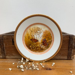 Haviland Limoges patti cananris series monarch butterfly plate