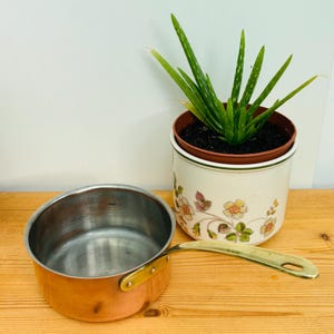 Può includere: Una pentola di rame con un manico in ottone. La pentola è vuota e si trova su una superficie di legno. Una pianta di aloe vera in vaso si trova sullo sfondo.