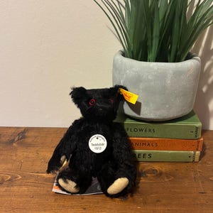 Steiff titanic bear - Etsy 日本