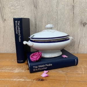 19th century Victorian vintage lidded blue and white gravy or sauce tureen with gilding detail.