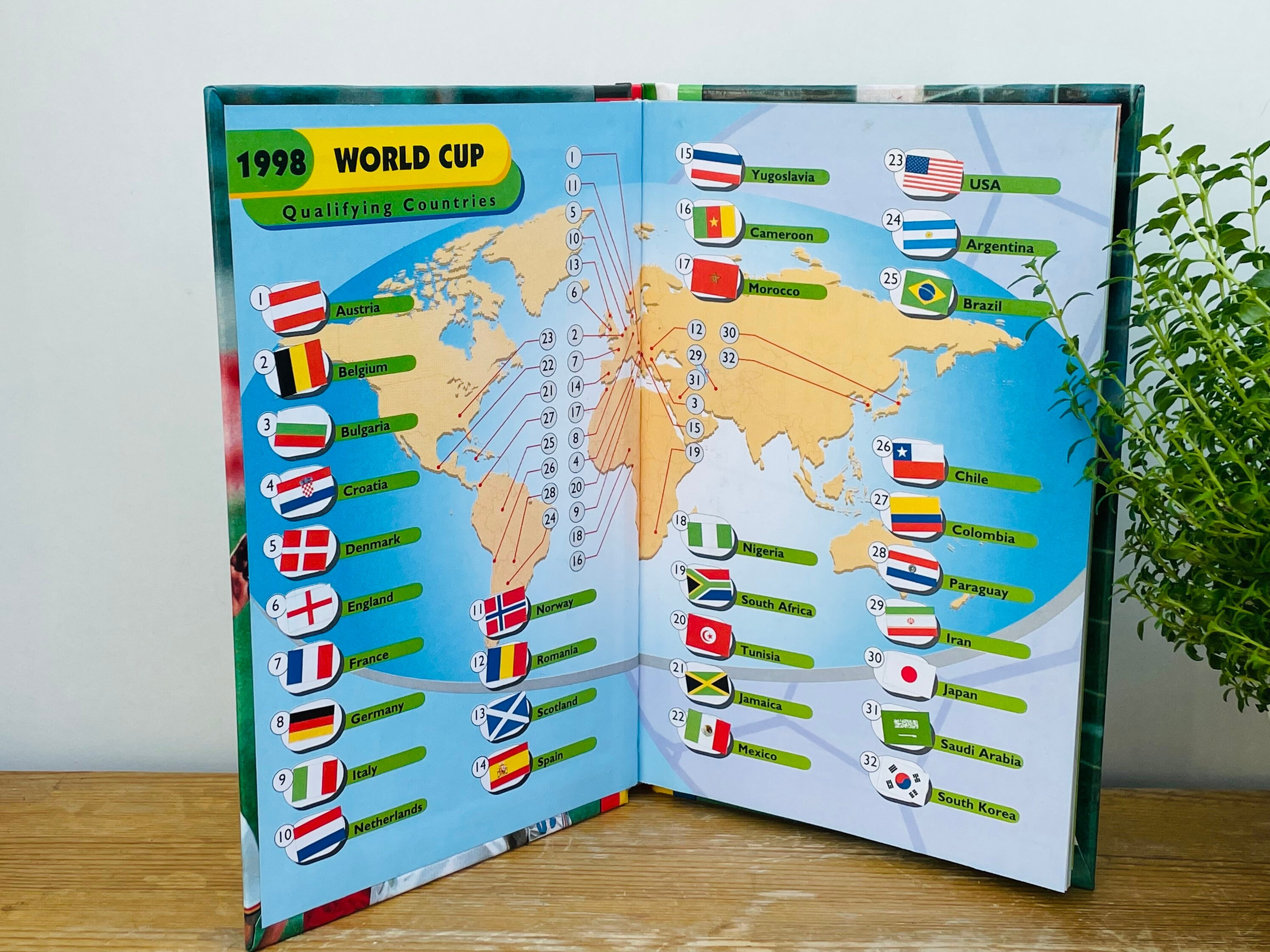 Vintage Book; the Unofficial Guide to World Cup '98 by