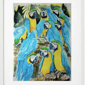 Puede incluir: Una pintura de acuarela de un grupo de guacamayos azules y amarillos posados en una rama de árbol. Los guacamayos están en varias poses, algunos mirando al espectador, otros mirándose entre sí y otros mirando hacia abajo. La pintura está realizada en un estilo realista, con atención al detalle en las plumas y las expresiones de las aves.
