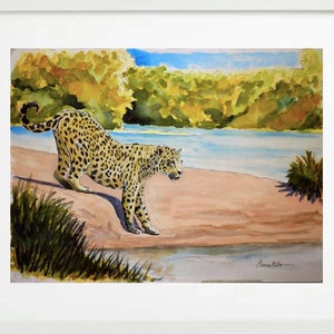 Puede incluir: Pintura acuarela de un leopardo de pie en una orilla arenosa de un río con follaje verde en el fondo. El leopardo está mirando hacia el lado derecho de la imagen y tiene un pelaje manchado. La pintura está firmada "Marcus Rollo" en la esquina inferior derecha.