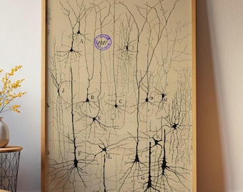Anatomia mózgu w stylu antycznym autorstwa Ramona Santiago. Wydruk artystyczny: Rysunek neuronu, dekoracja poświęcona neuronauce.