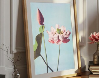 Lotus Flower Print by Ogawa Kazumasa – Japanese Botanical Art, Vintage Floral Wall Decor