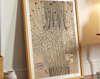 Ramon Santiago Neuron Print: Vintage Gehirn Anatomie Kunst