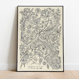 Alexander Senegat Floral Textile Print: Vintage Dutch Engraving