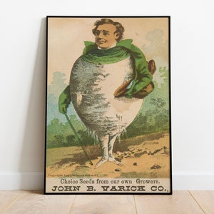 Victorian Turnip Man, C Ribsam & Sons, Vintage Küche Kunstdruck, Seltsam, Trade Karte, lustige Küche, Essen Wandkunst, Seltsam, Weird, Bizarr