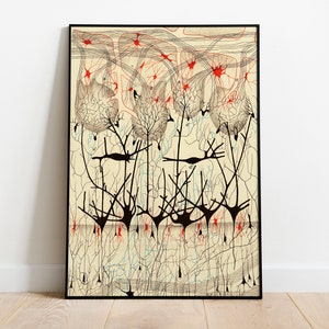 Neuron tekening door Ramon Santiago, antieke hersenen anatomie art print, vintage anatomische illustratie, neurowetenschappen kunst, kunst biologie, menselijke kunst