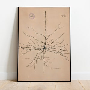 Neuron tekening door Ramon Santiago, antieke hersenen anatomie art print, vintage anatomische illustratie, neurowetenschappen kunst, kunst biologie, menselijke kunst