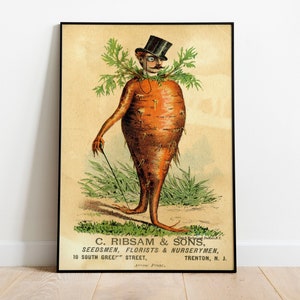 Hombre Zanahoria Victoriano, C Ribsam & Sons, Lámina de cocina vintage, Extraño, Tarjeta de intercambio, Cocina divertida, Arte mural de comida, Raro, Extraño, Bizarro