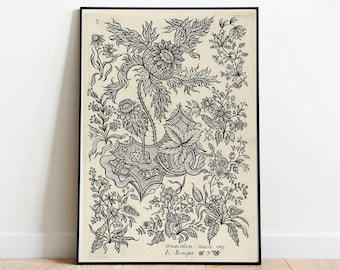 Niederländische Blumengravur: Alexander Senegat Vintage Art