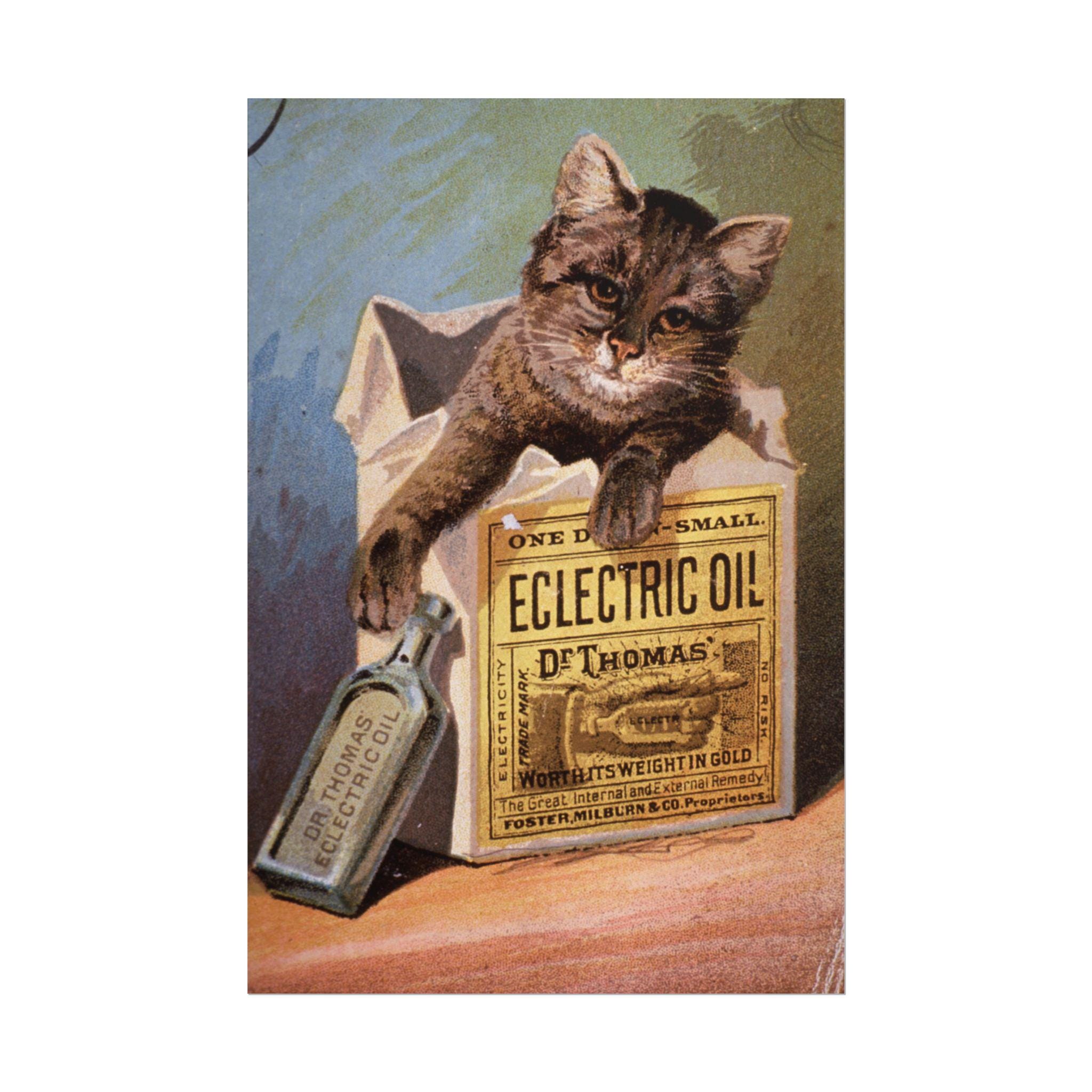 Dr. Thomas' Eclectric Oil Print – Vintage Apothecary Advertising