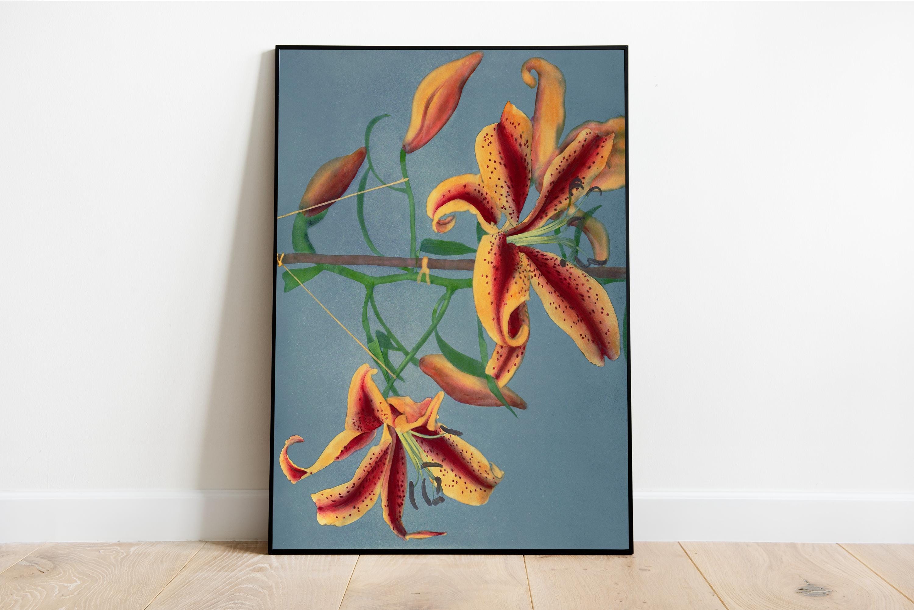 Lily Hand-colored Collotype Print (1896) by Kazumasa Ogawa
