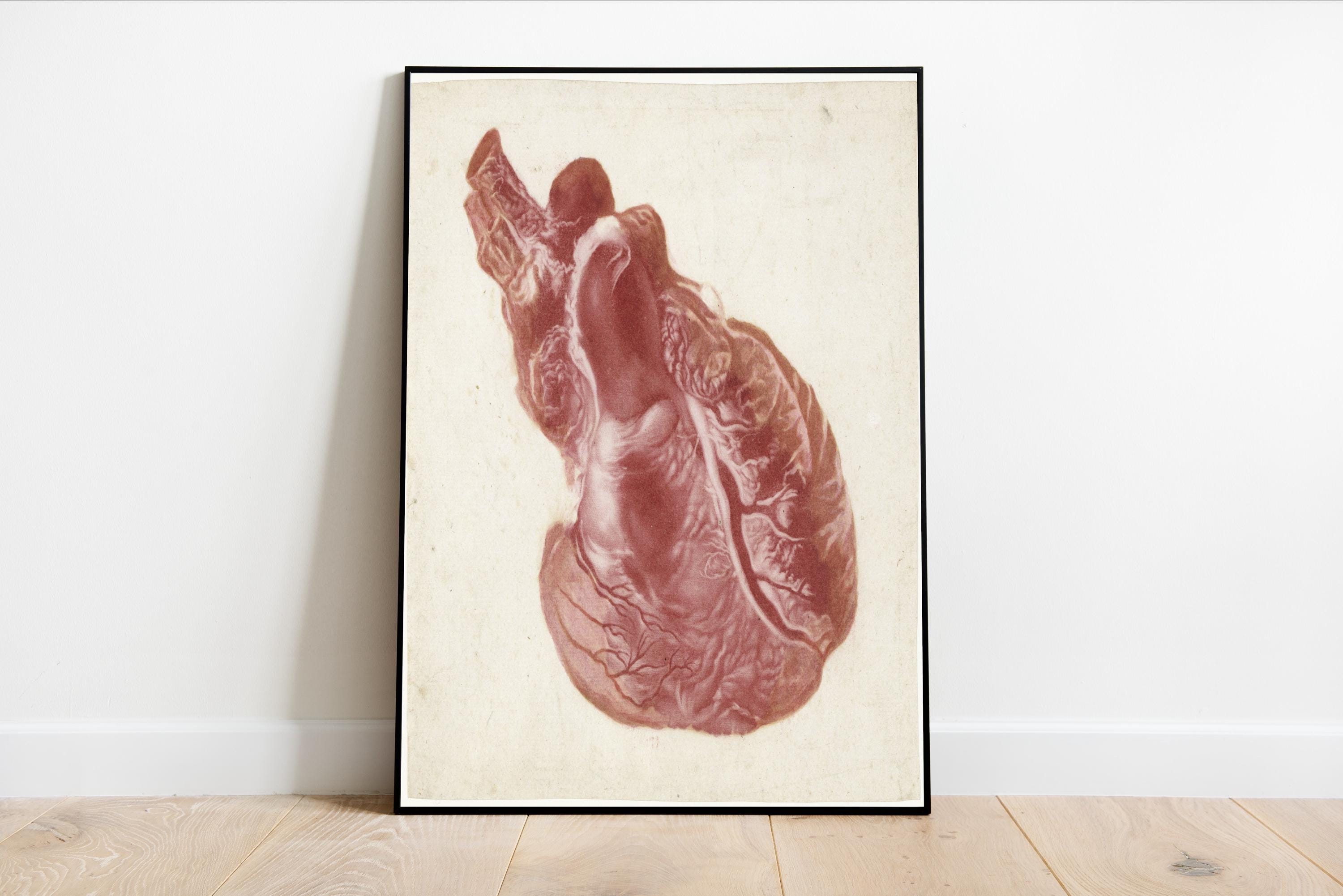 Human Phone Wallpapers: Free 4K \u0026 HD Downloads | mob.org, image size:3000x2002