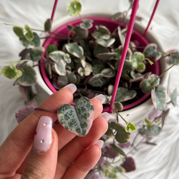 String of Hearts Etsy