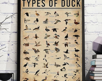 Poster sui tipi di anatre, poster sulla conoscenza delle anatre d'epoca, grafico delle anatre da parete, regalo per la caccia alle anatre a scuola, decorazioni murali in stile fattoria