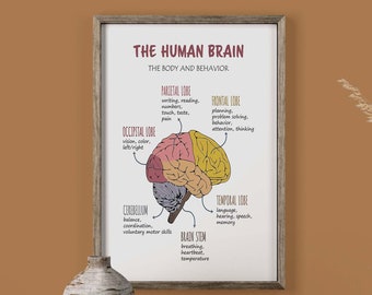The Human Brain Poster Canvas, Mental Health Wall Art, Classroom School Therapist Supplies Boho Educational Art Print, Brain Anatomy Poster