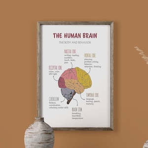 The Human Brain Poster Canvas, Mental Health Wall Art, Classroom School Therapist Supplies Boho Educational Art Print, Brain Anatomy Poster