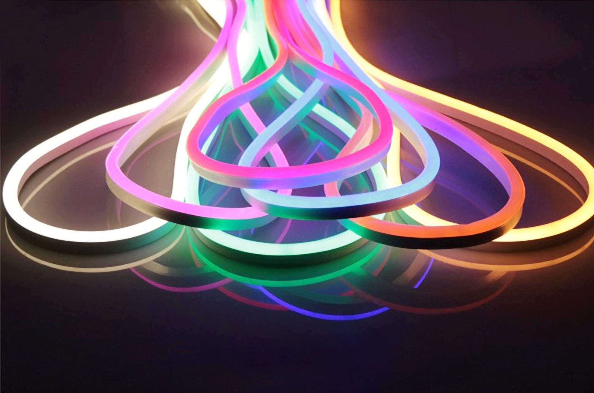 Custom Neon Lights Neon Lights Neon Lights Customization Etsy