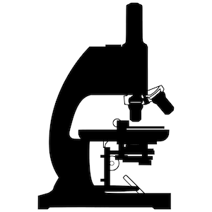May include: A black silhouette of a microscope with a single lens and a stage. The microscope is a common tool used in science and education.