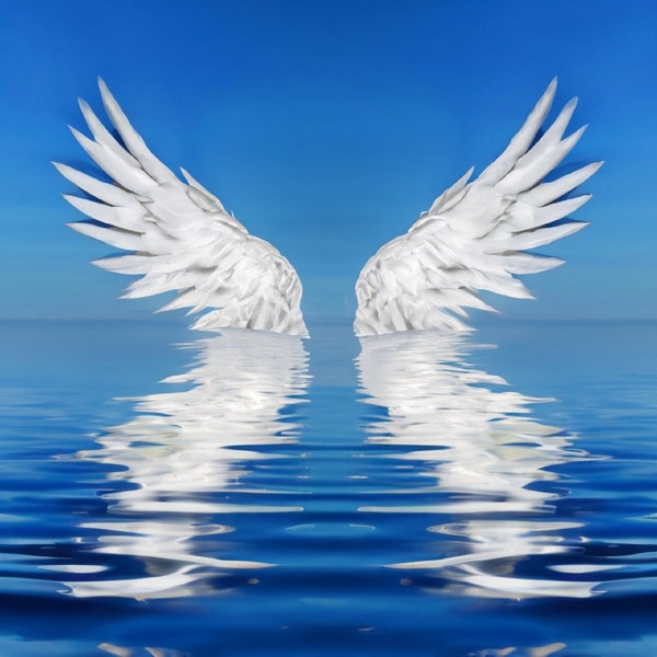 Angel Wings Reflected Digital Graphic