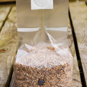 May include: A clear plastic bag filled with brown wheat berries. The bag has a small white circle sticker on the front.