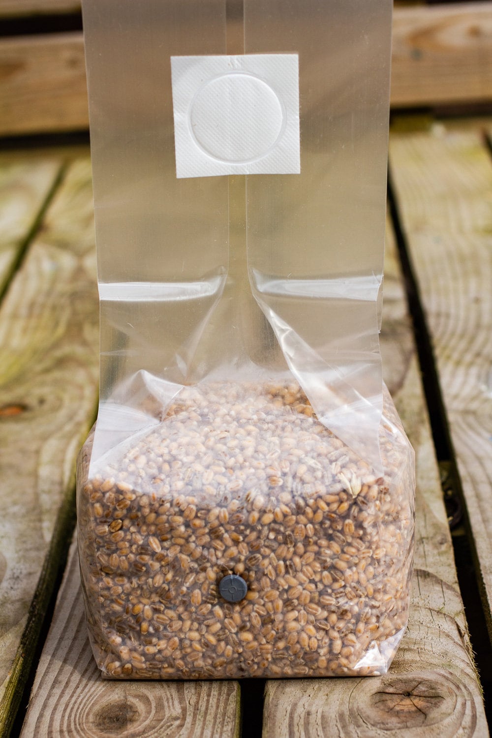 1kg 1.5kg Sterilised Grain Spawn Bags WITH Injection Port Etsy