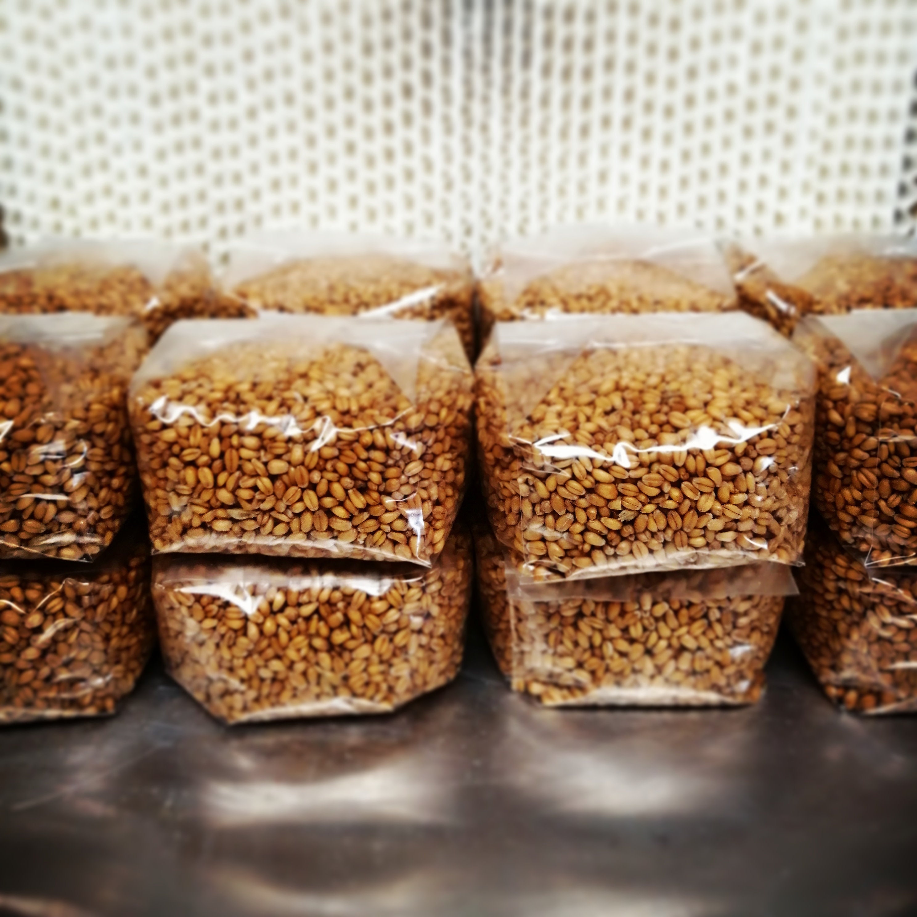 500g Of Sterilised Grain Spawn Bags Alcohol Wipes Etsy UK