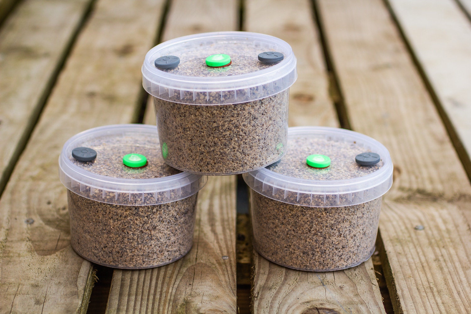 560ml PF Tek Brown Rice Flour & Vermiculite Sterile Mushroom Etsy UK