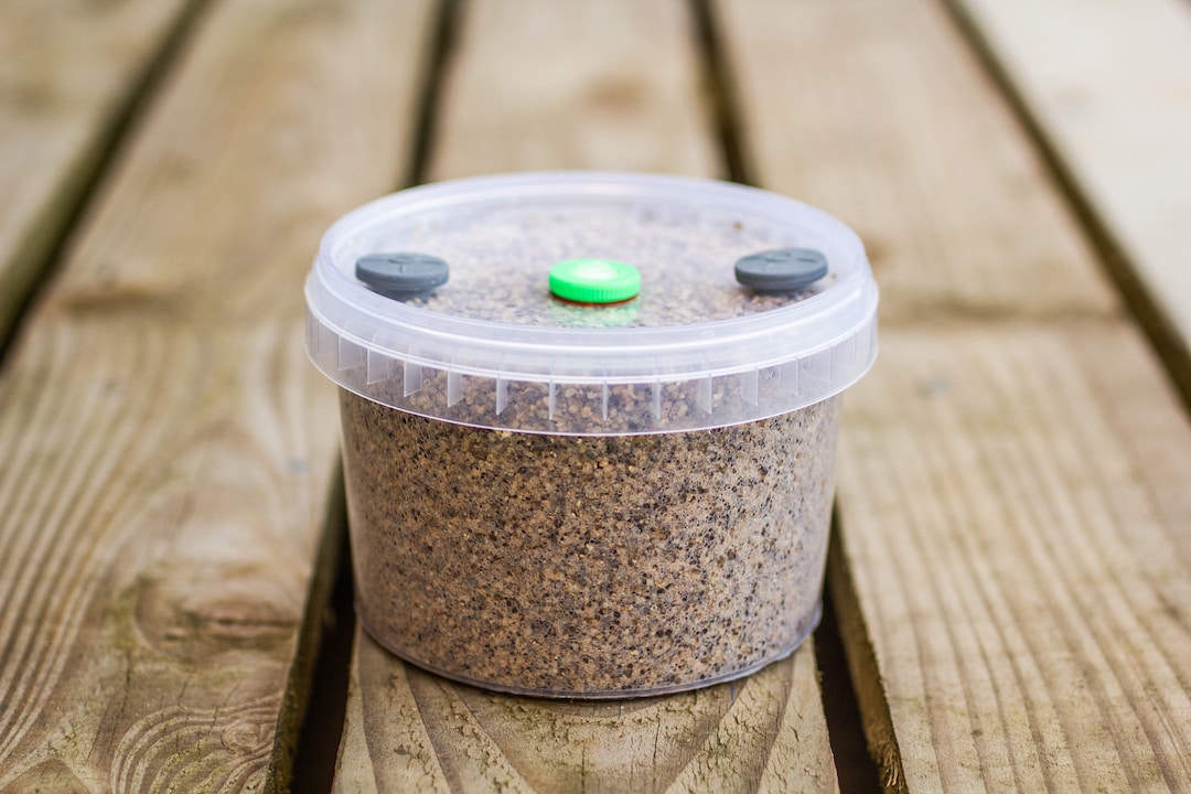 560ml PF Tek Brown Rice Flour & Vermiculite Sterile Mushroom Etsy UK